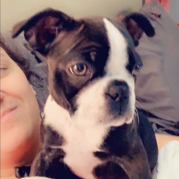 Meet your Posher, Kathy - Picture 1 of 1